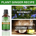 Rosemary Hair Care Essential Oil My Store